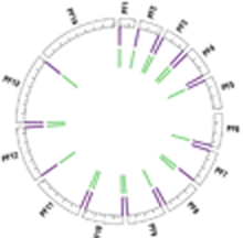 Diagnostic target discovery
